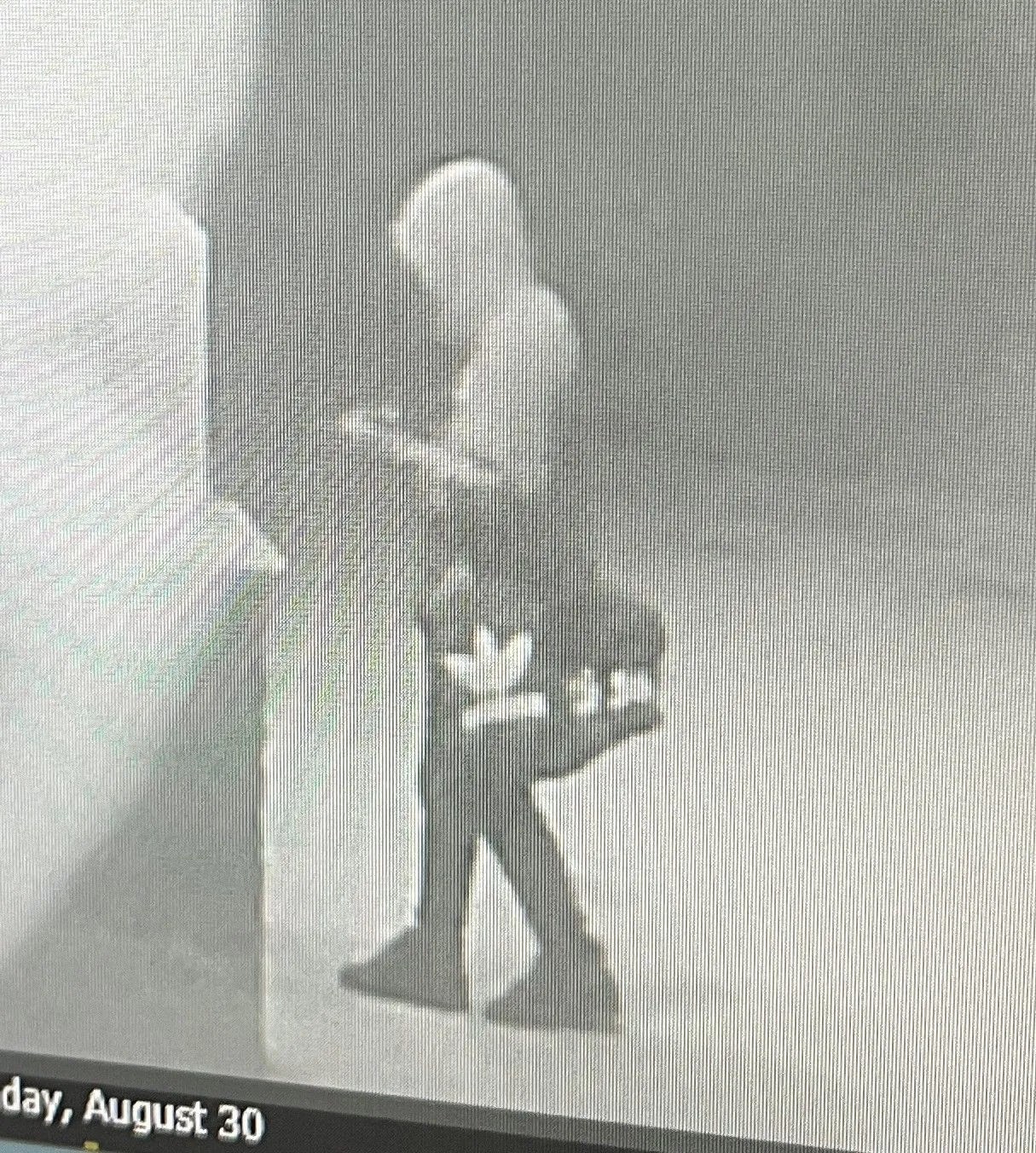 ATM theft reported at Rochester credit union; police seek information